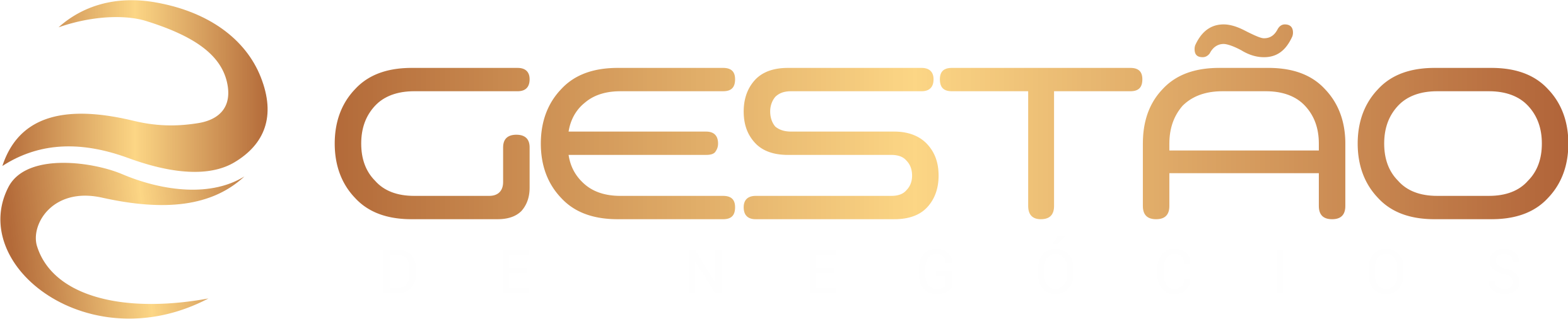 Diego Coelho Gestão